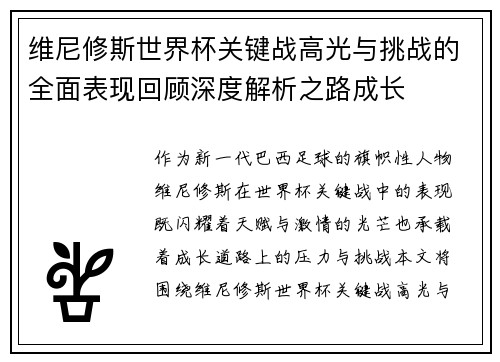 维尼修斯世界杯关键战高光与挑战的全面表现回顾深度解析之路成长